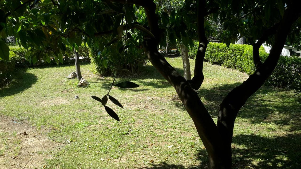 Centro Giovanile Padre Minozzi Policoro Ngoại thất bức ảnh